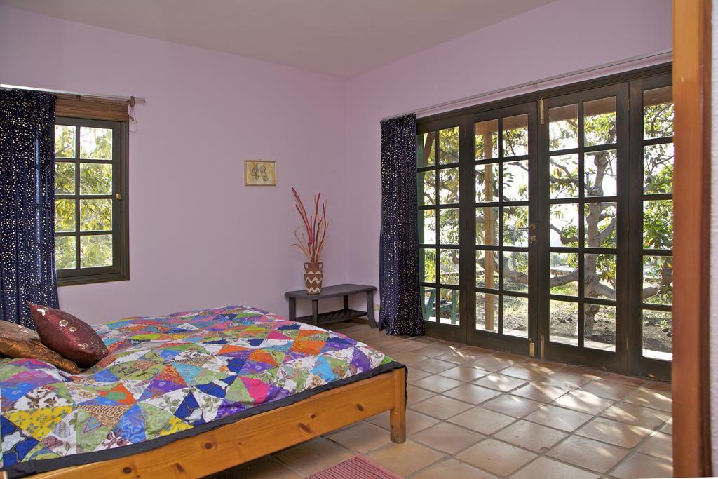 Casa Finca Avocado ロス・ジャノス・デ・アリダネ エクステリア 写真